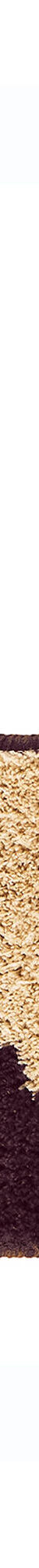 Tapis de bain fantaisie Zilla (marron) Tapis de bain fantaisie Zilla (marron)